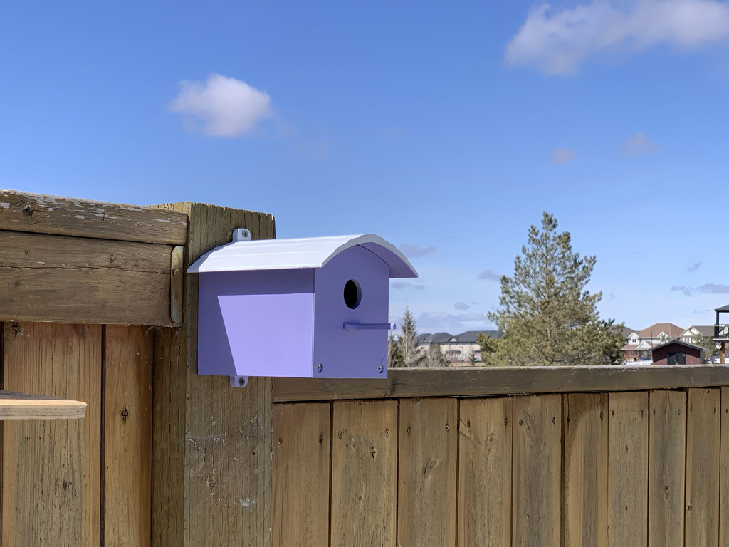 Birdhouse 2 — miniatura 2