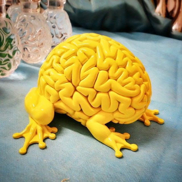 Brain frog
