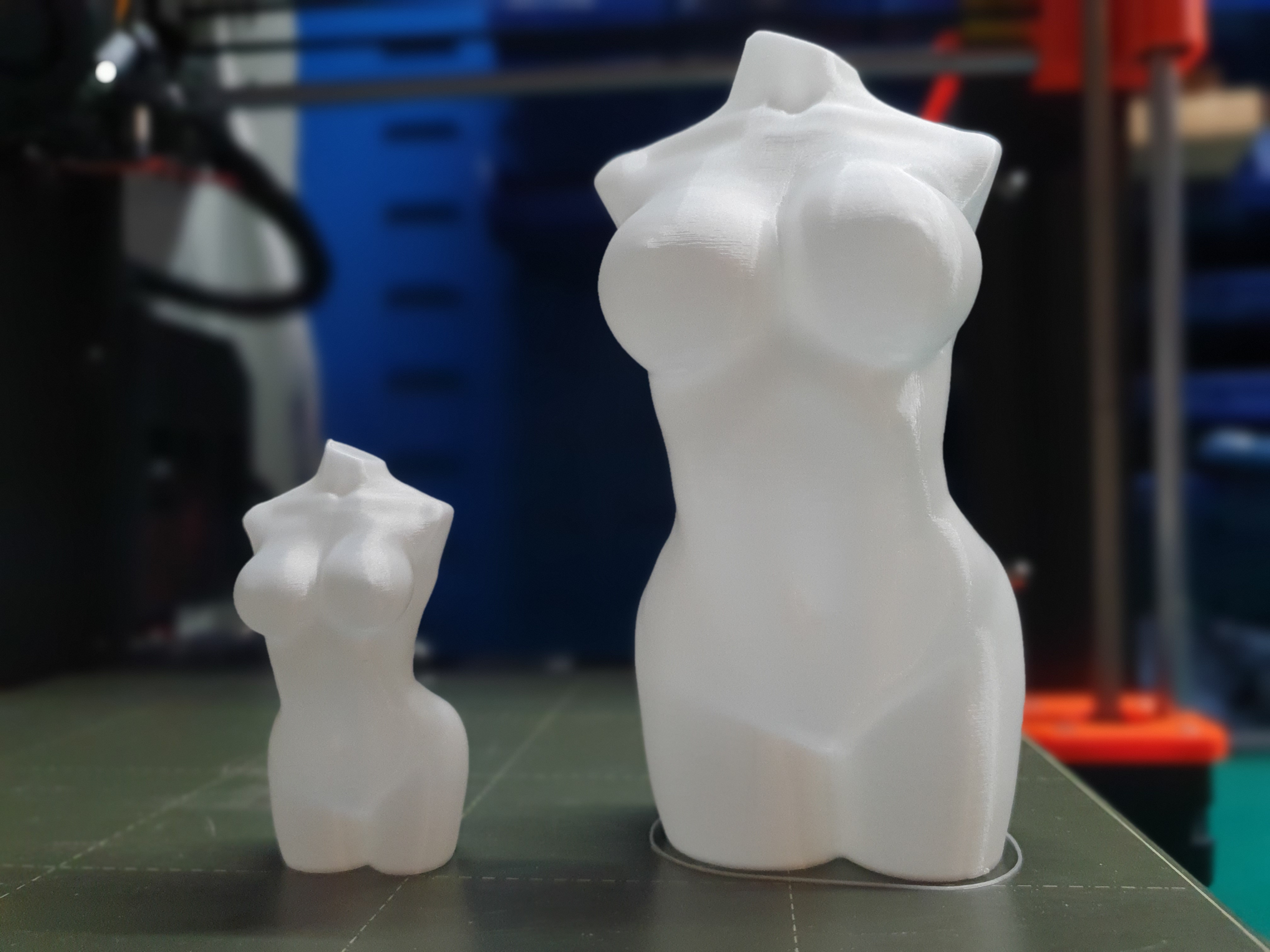 🧍‍♀️ Busty Female Body (Vase mode) by sh | Download free STL model |  Printables.com