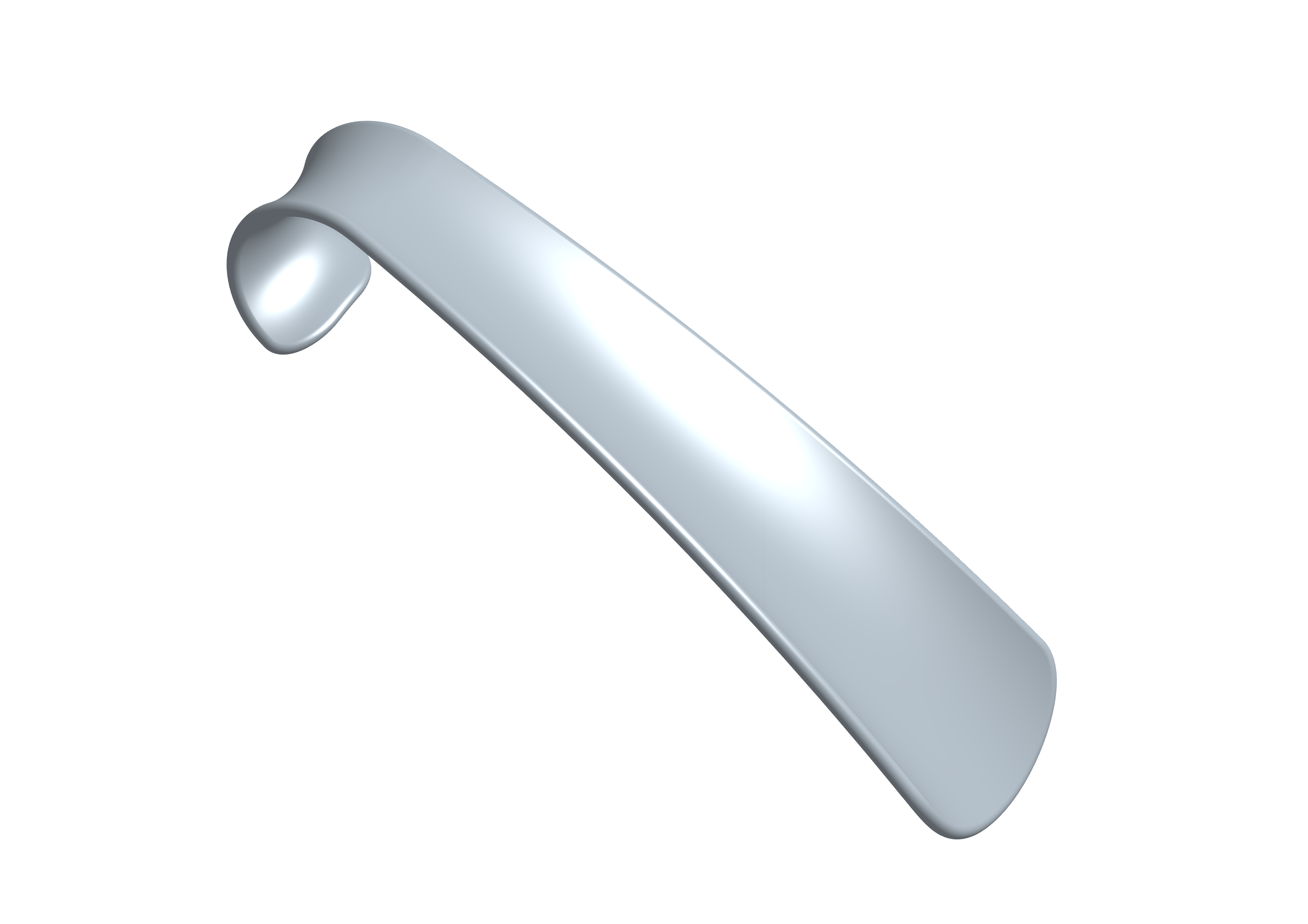 Shoehorn