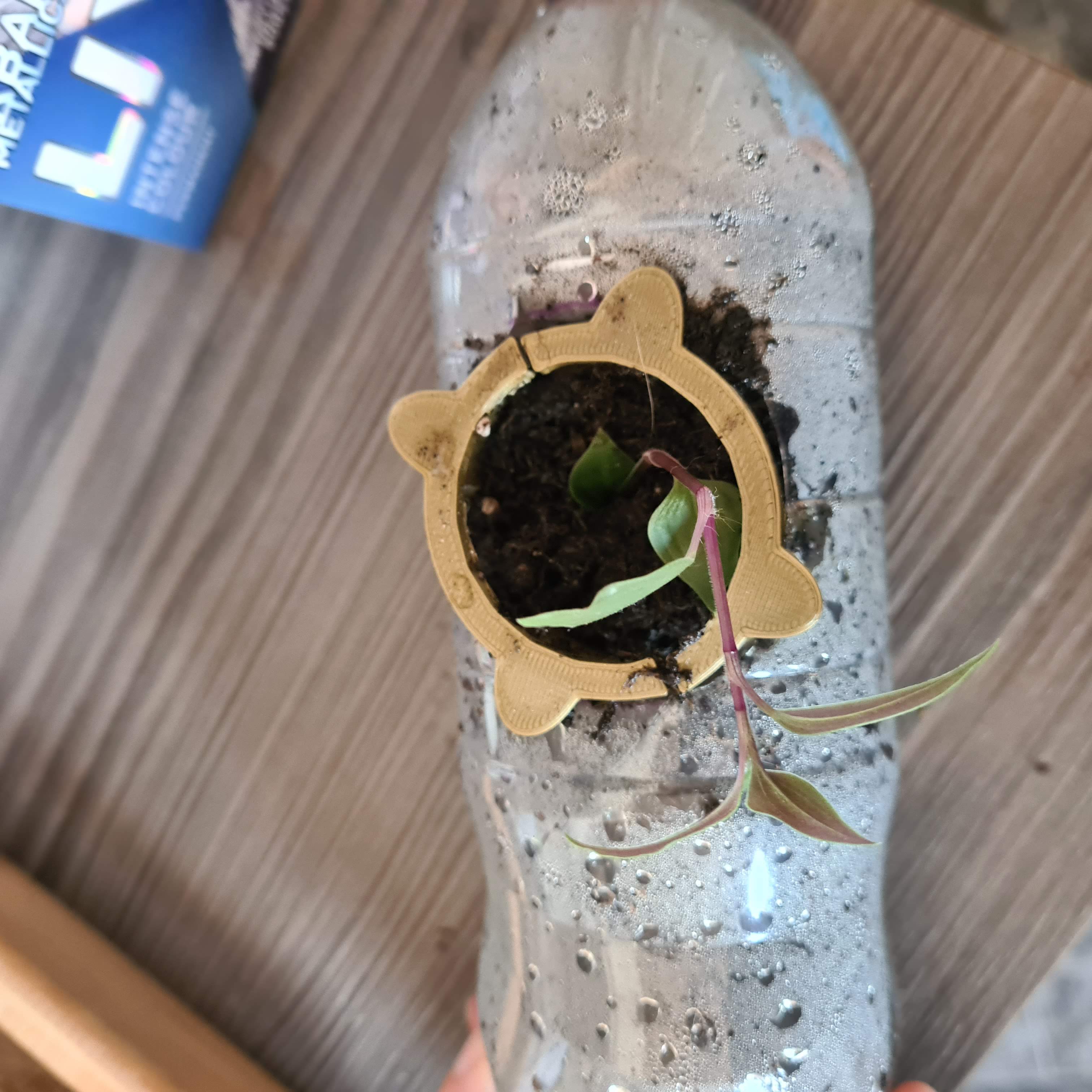 Plant Plug Bottle Planter