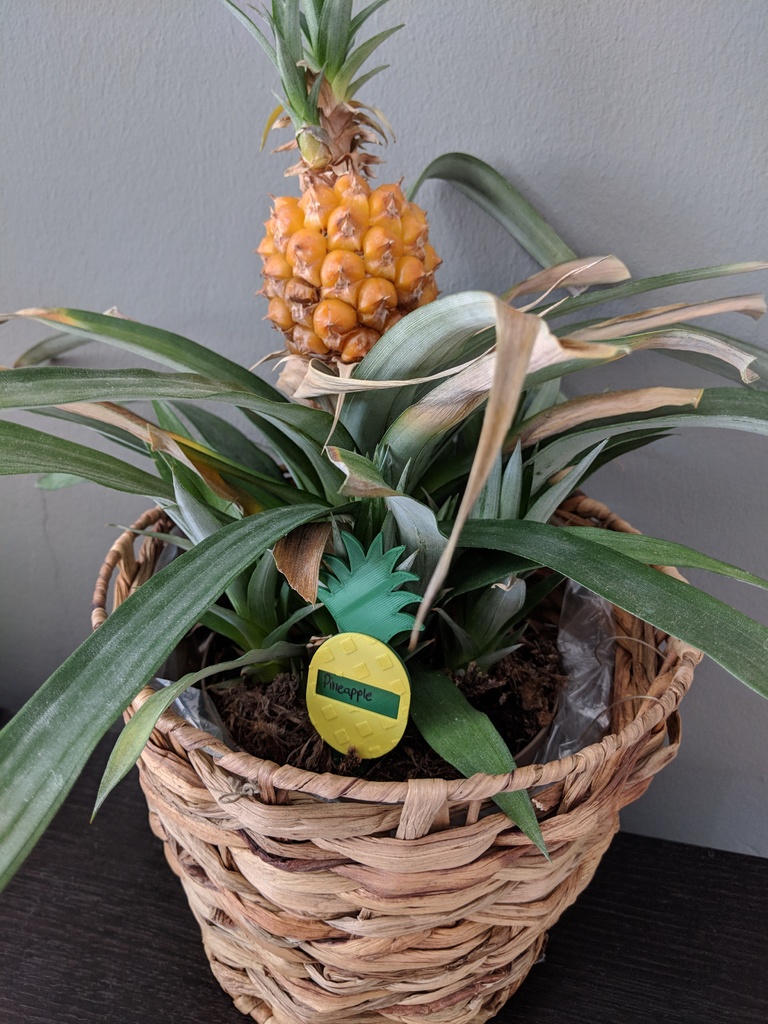 Pineapple flower label — miniatura 4