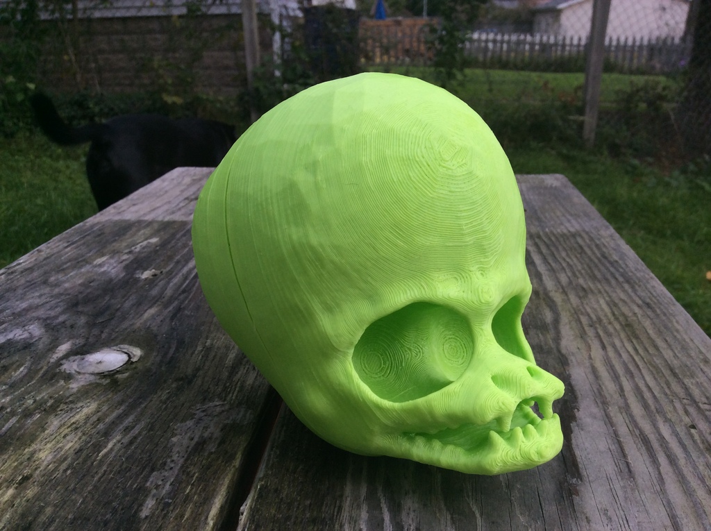 Miniatura 3 do modelo 3D Alien Skull