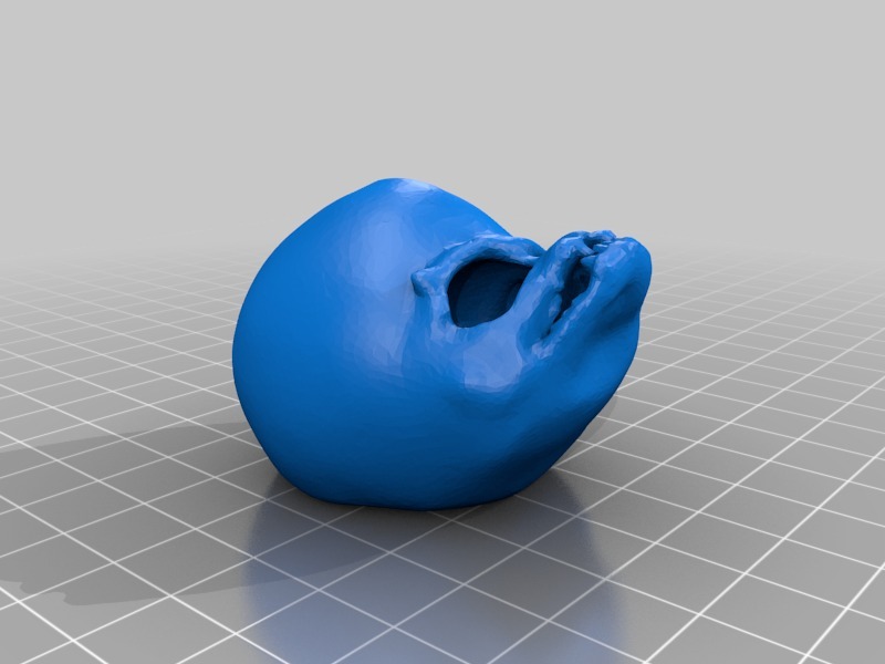 Miniatura 6 do modelo 3D Alien Skull