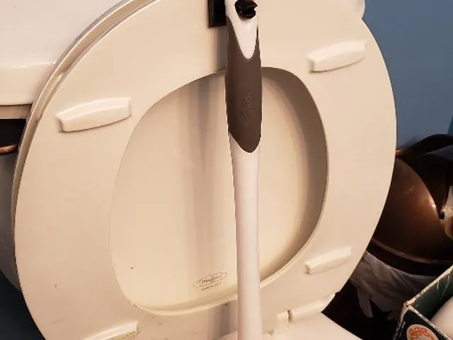 Toilet Plunger Drying Hook