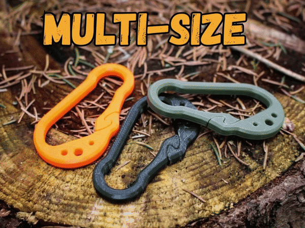 Carabiner Multi-Size EDC