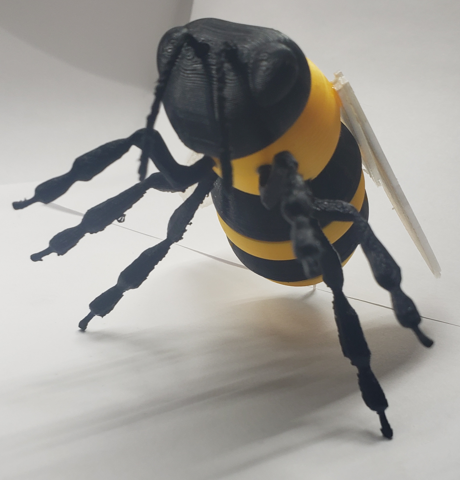 HoneyBee by 3DBuzzStudios by 3dBuzz Studios | Download free STL model ...