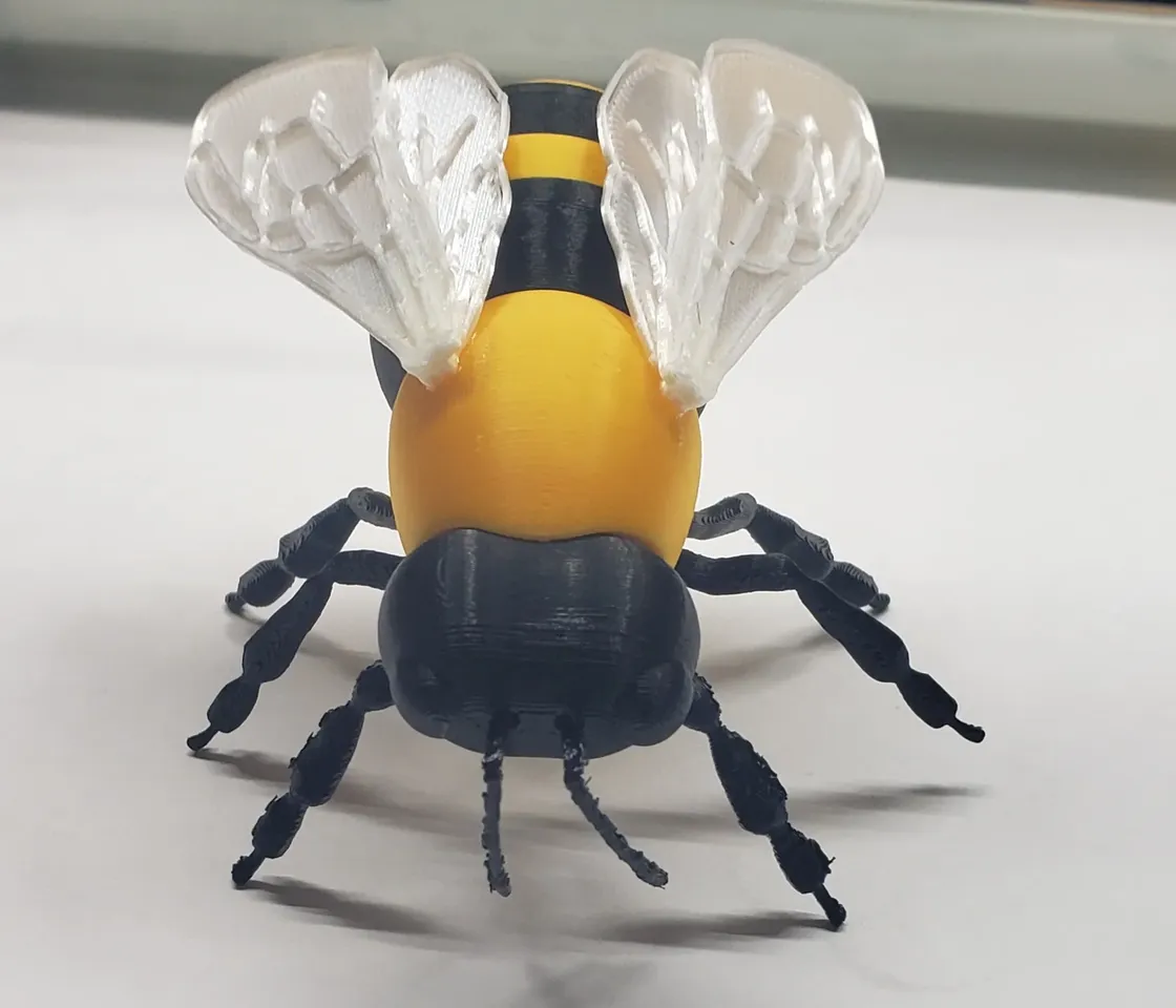 HoneyBee by 3DBuzzStudios by 3dBuzz Studios | Download free