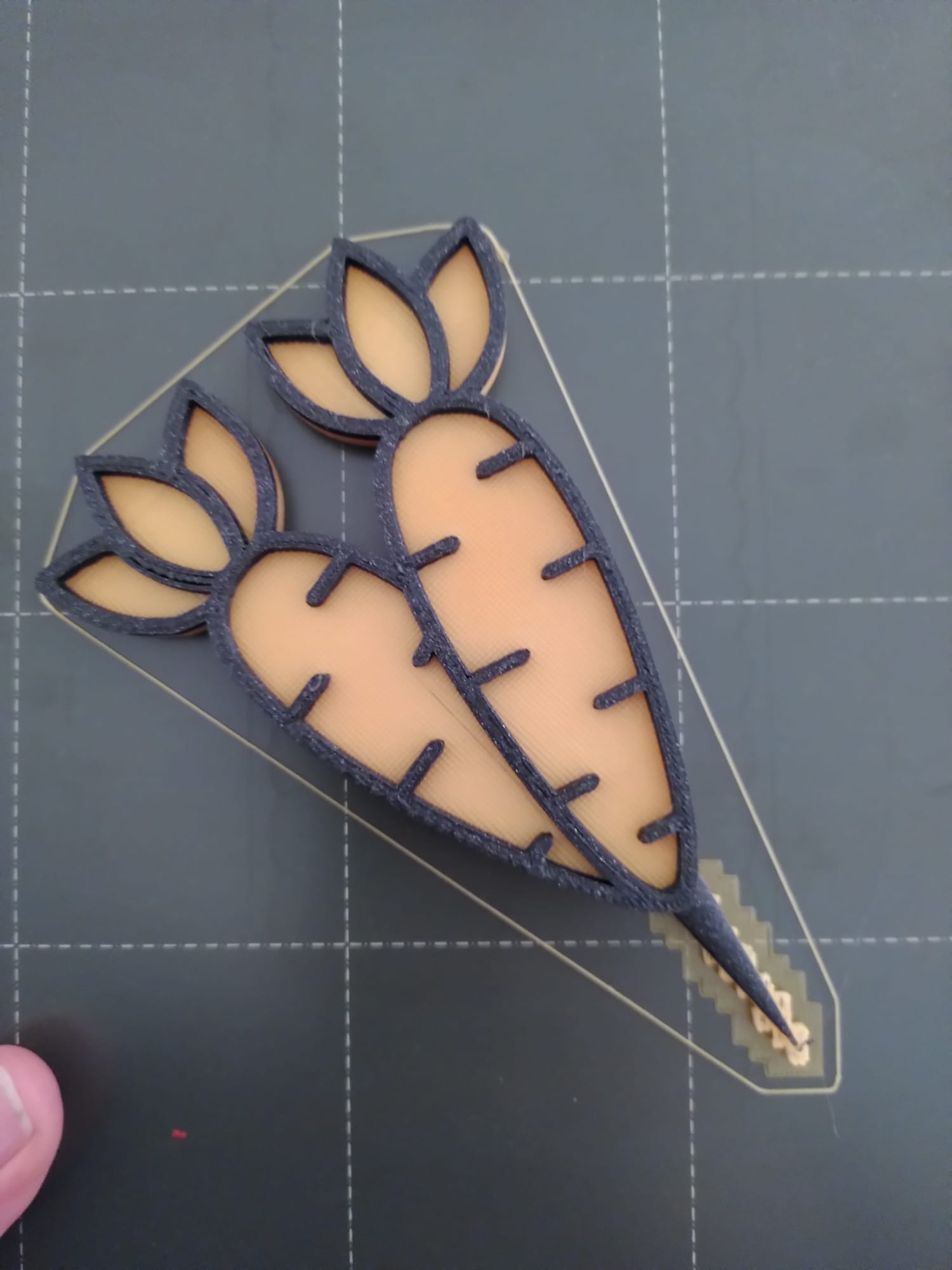 Carrot bicolor sign for garden (no mmu)