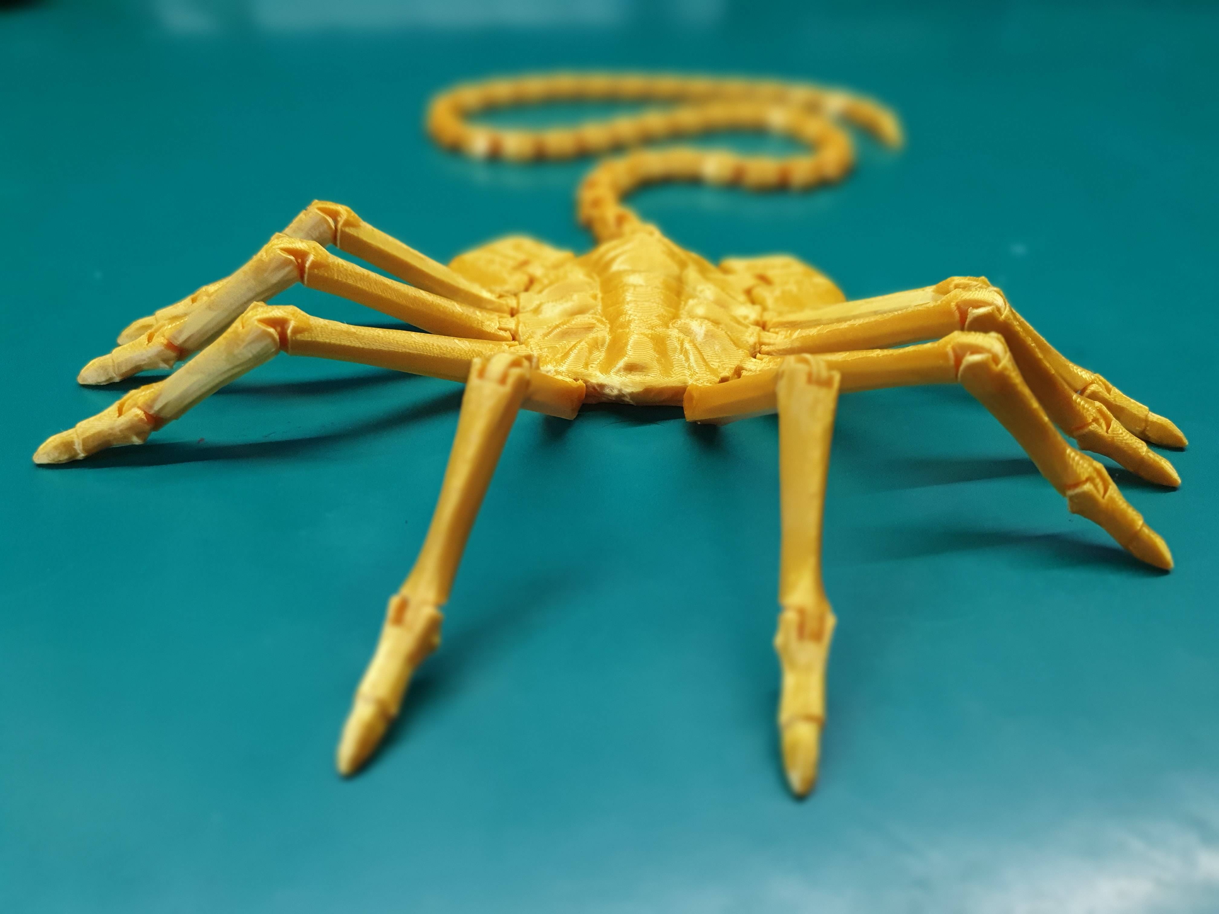 👽🦀 Alien REMASTERED facehugger print-in-place. Long tail and fingers.