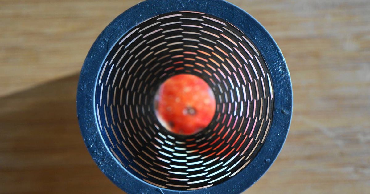 Designer Fruit Fly trap by Jack Download free STL model