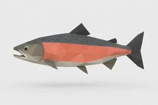 Low Poly Salmon