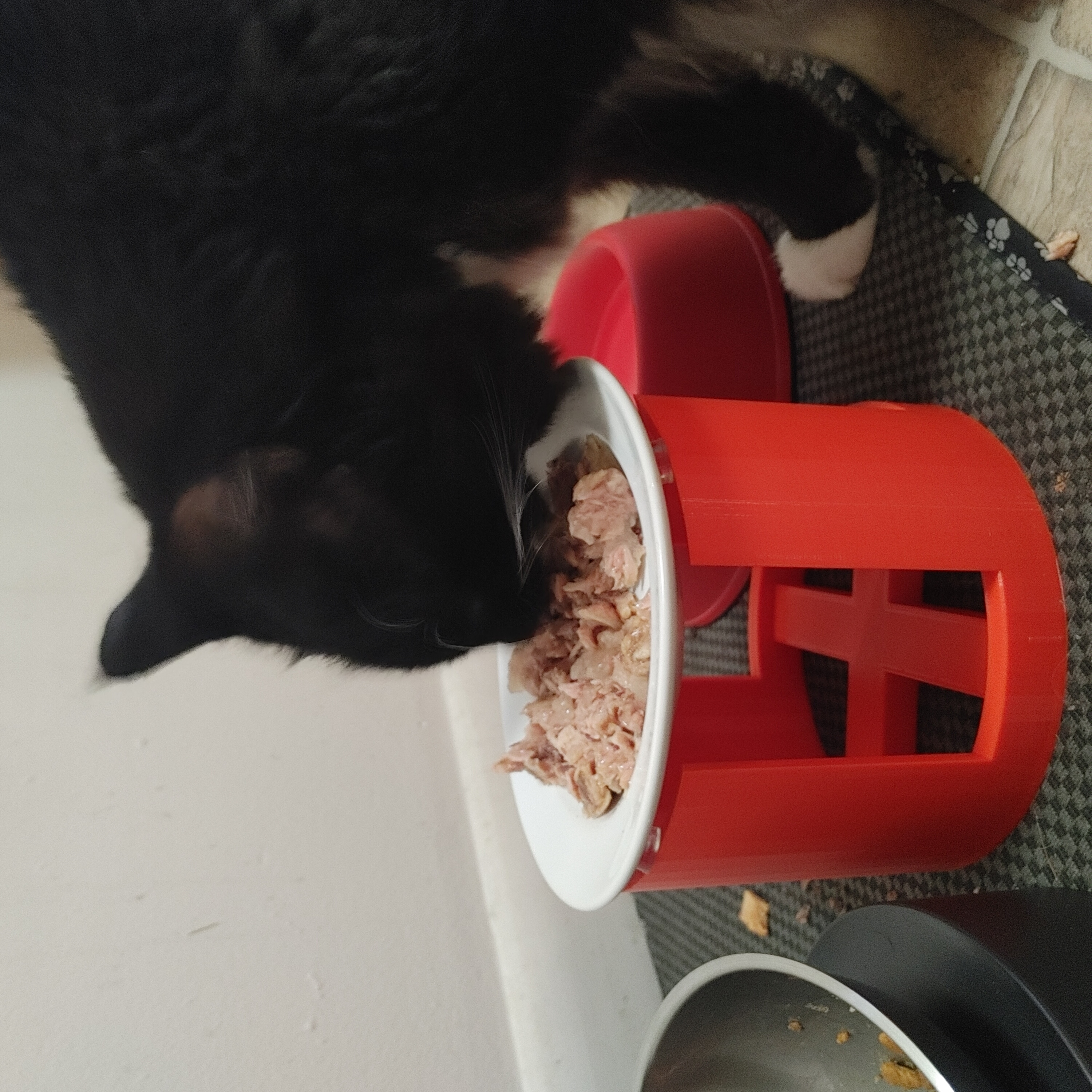 Cat Food Plate Holder