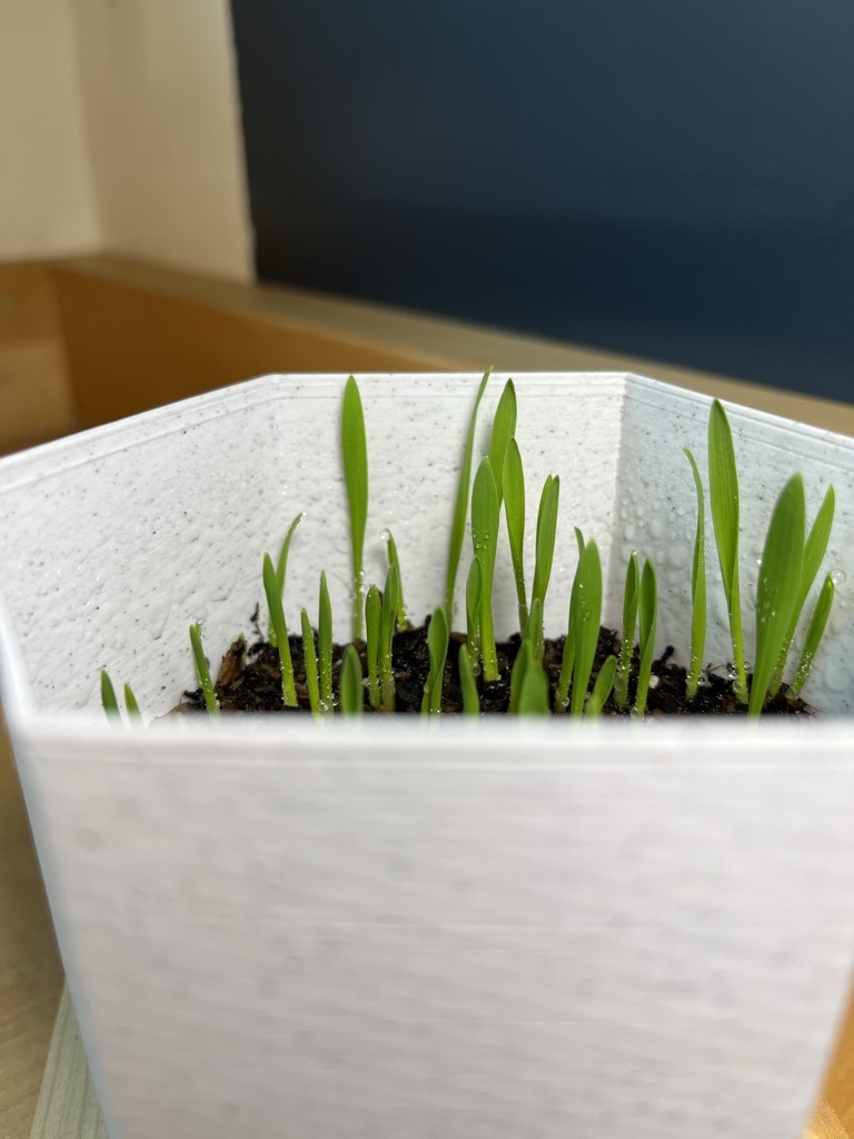 Hexagonal Self-Draining Planter — miniatura 3
