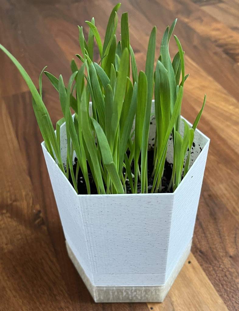 Hexagonal Self-Draining Planter — miniatura 4