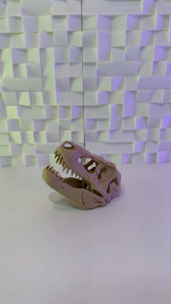 T-Rex Skull V3 (10-25 Grams)