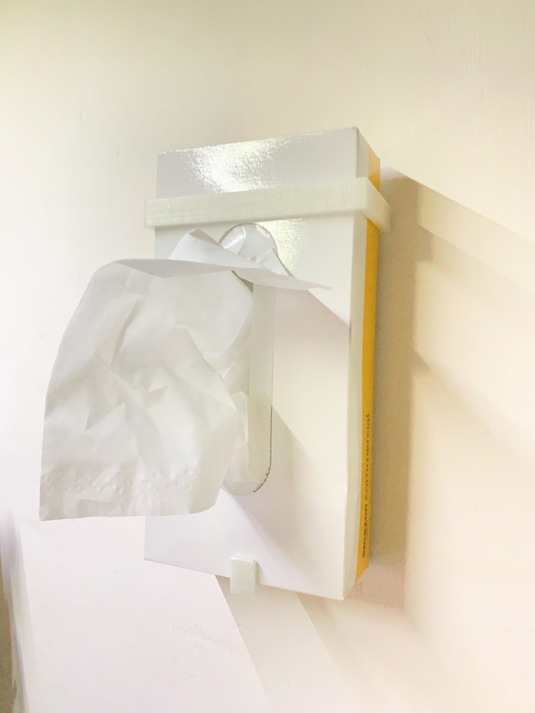 Wall Mount Tissue Box - Holder (AmazonBasics)