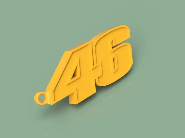 VR-46 logo and keyring