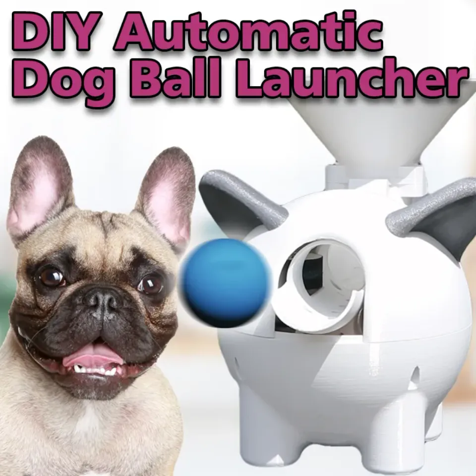 Automatic ball thrower 2024 for dogs diy