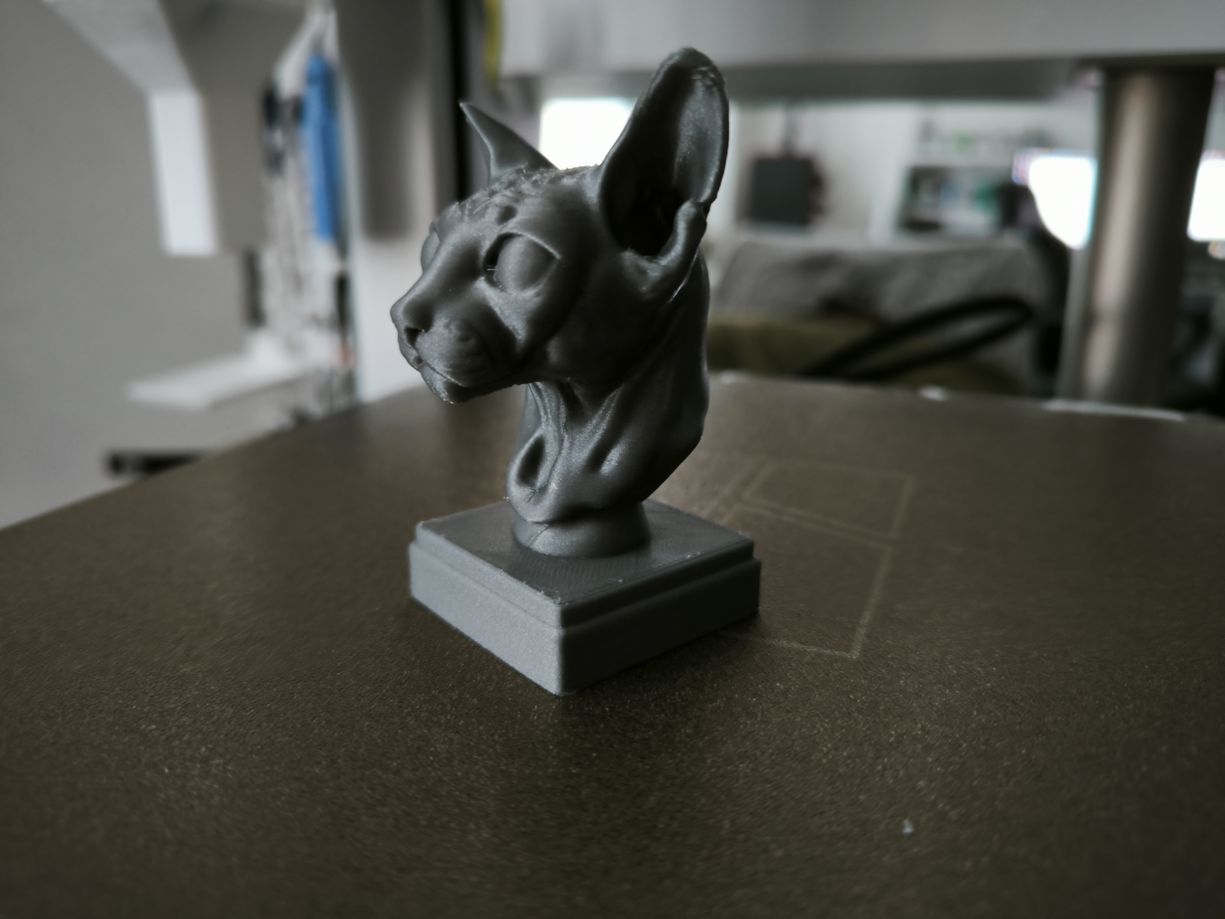 Miniatura 2 do modelo 3D Sphynx Cat Head