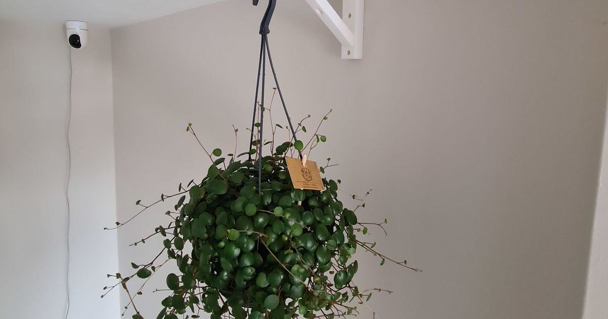 Hanging Plant Bracket by C87 Download free STL model
