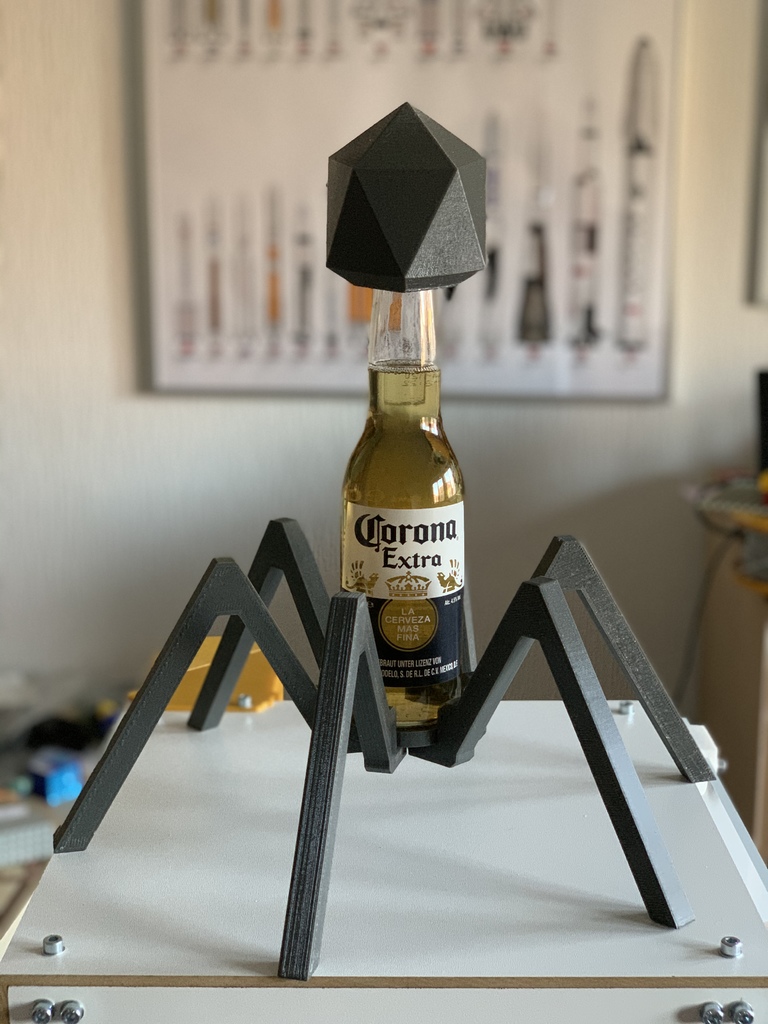 Corona Virus