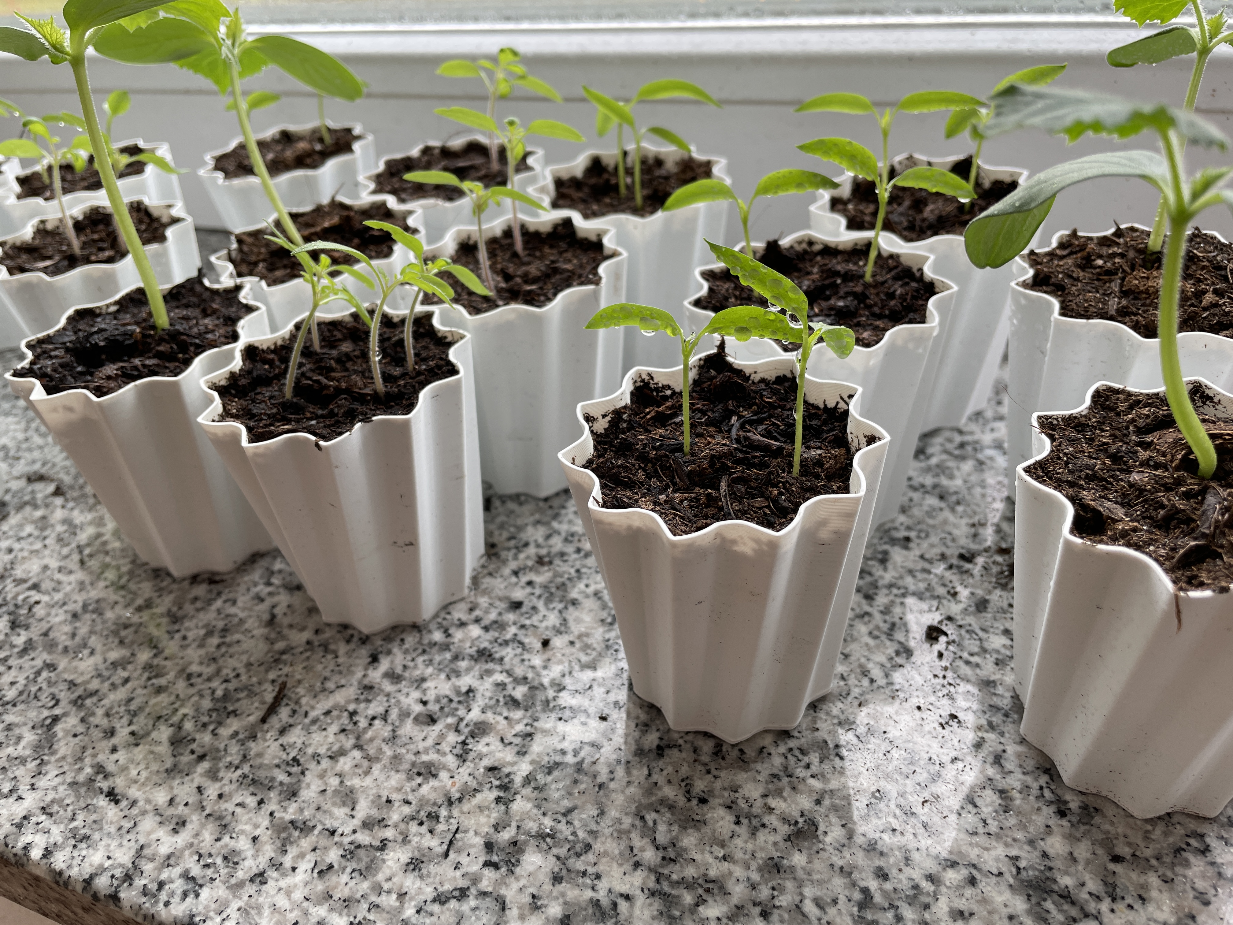 plant pot small vase mode, Pflanzentopf klein Vasenmodus