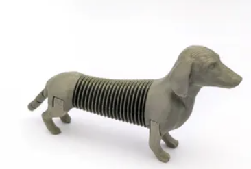 flexi dog