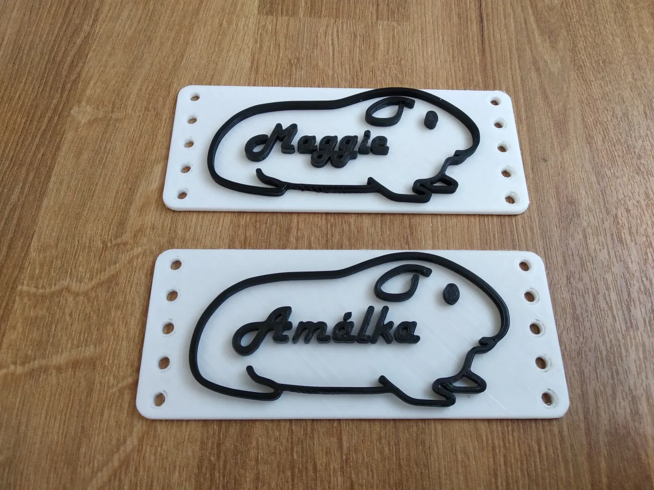 Guinea Pig 2D Tag (Label) by Jarda K 66 | Download free STL model ...