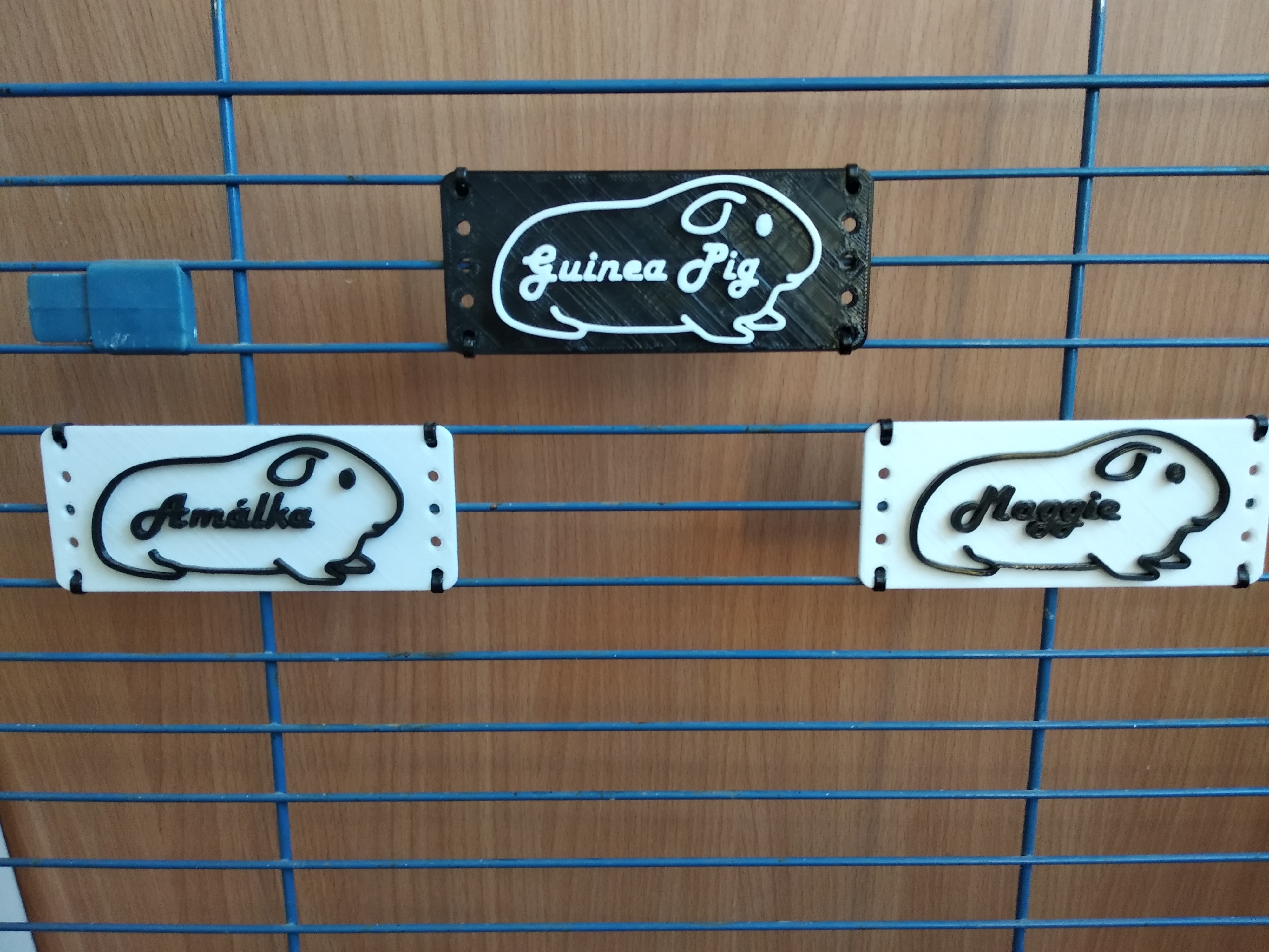 Guinea Pig 2D Tag (Label)