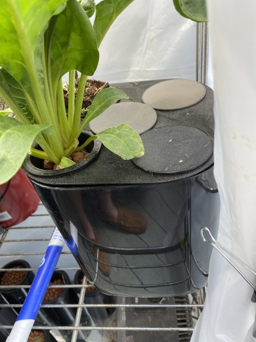Kratky Cover for 3 Inch Netpot Hole