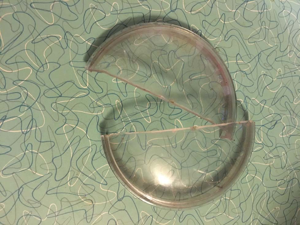 Capresso Coffee Grinder Model 595 Lid by Escarjoe Download free STL