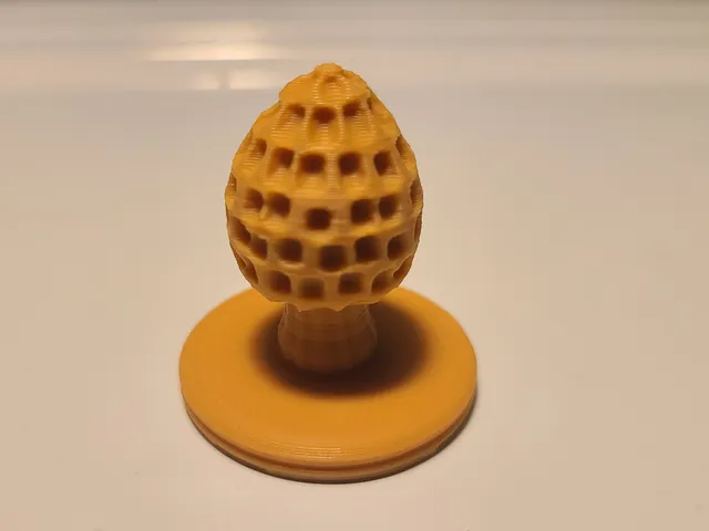 Morel Mushroom | Morchella 3D Print