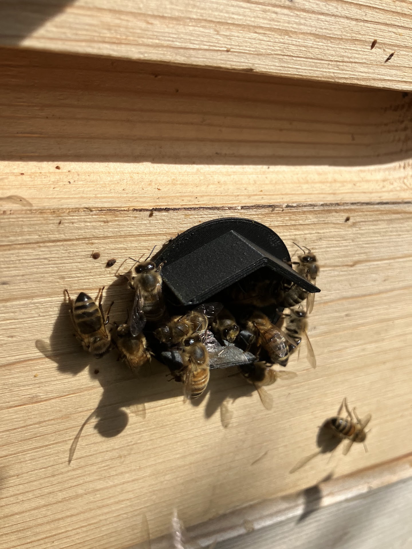 Beehive entrance (house-like)