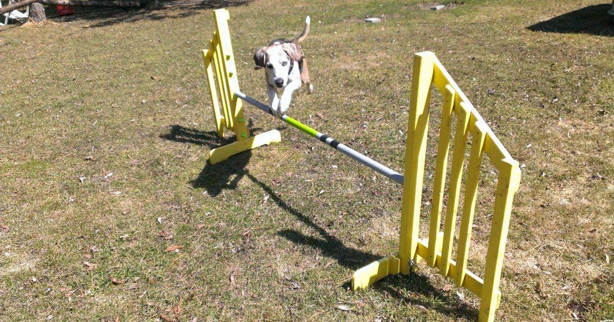 Agility Jump Cups (parametric) by cperiod Download free STL model