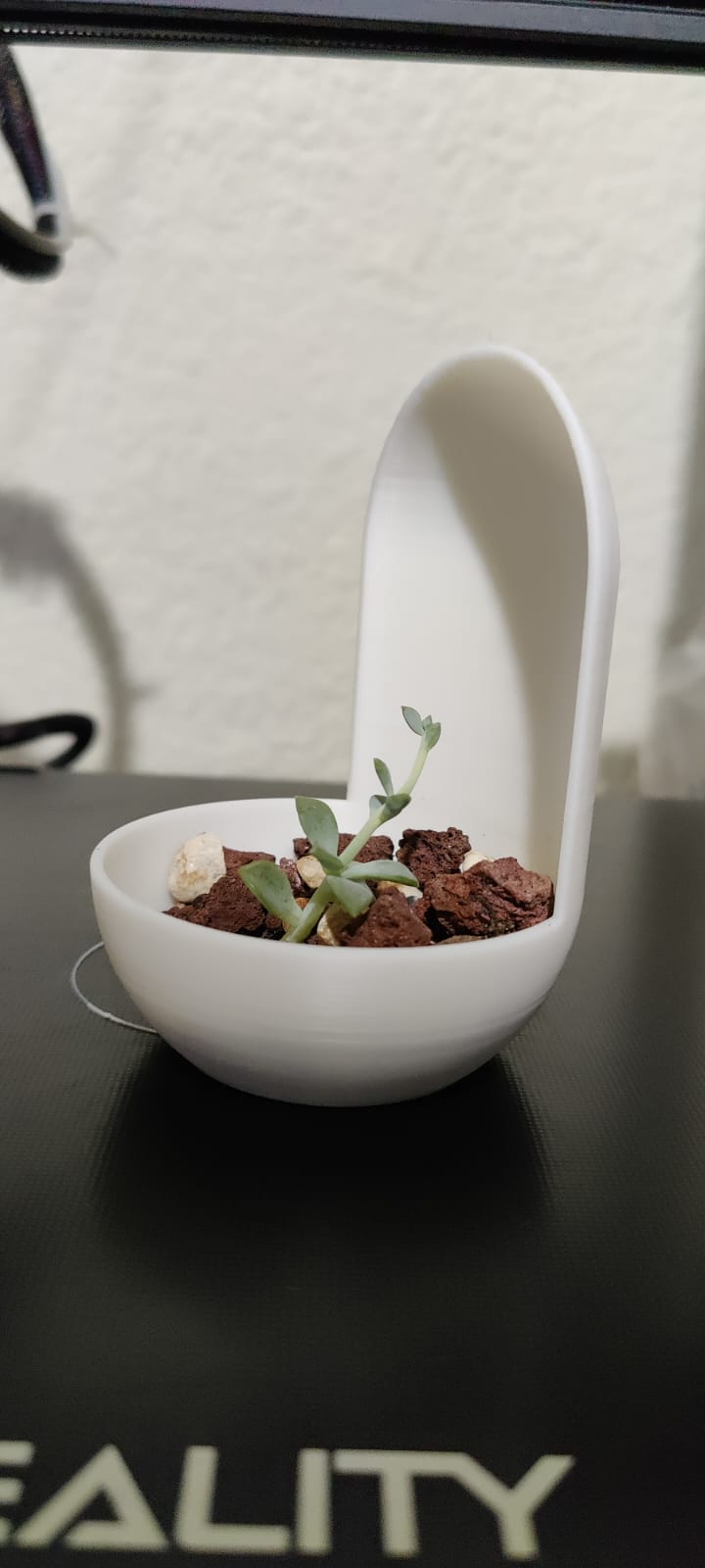 SIMPLE POT