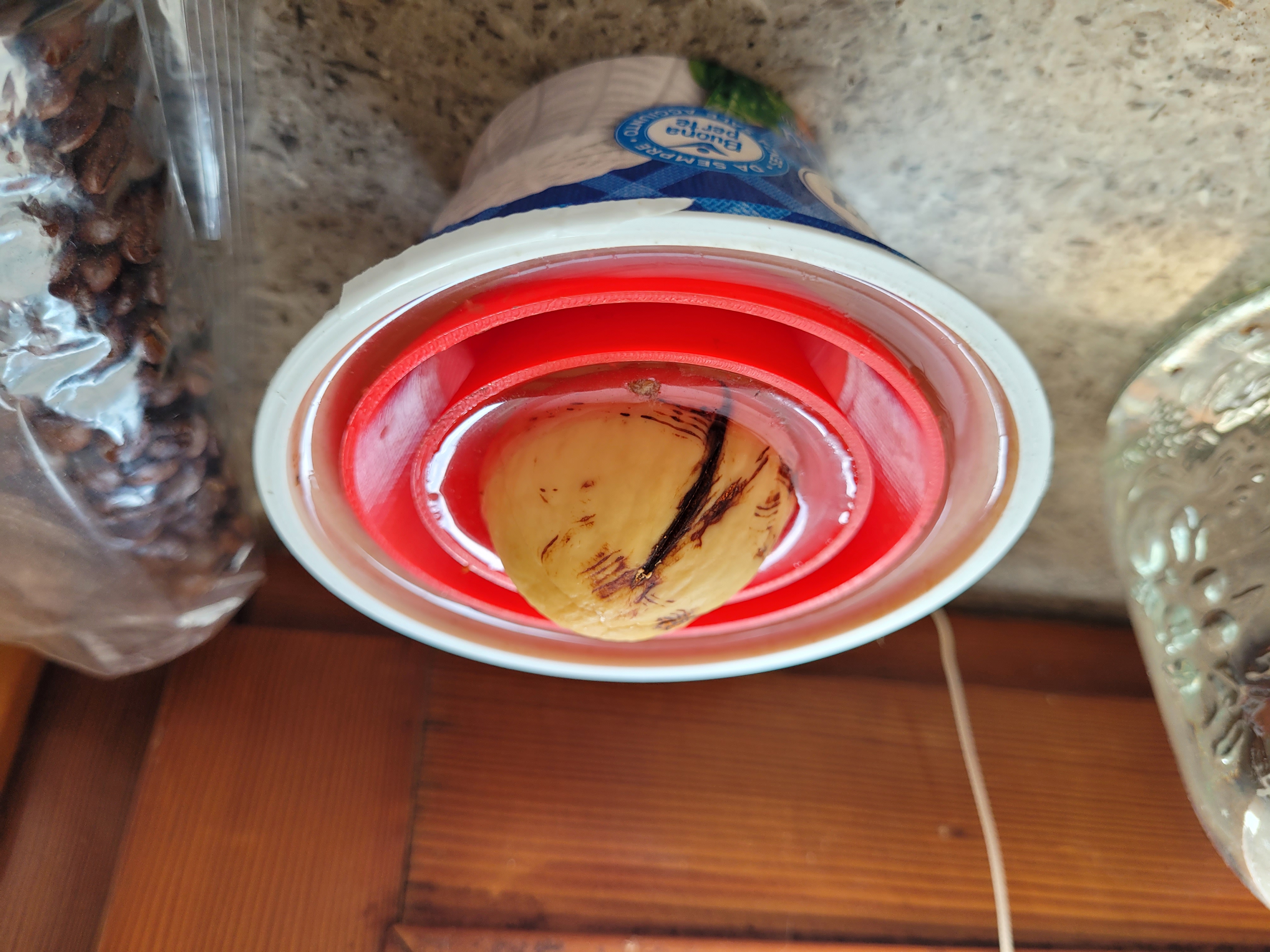 Avocado Bucket MKII - Fixed
