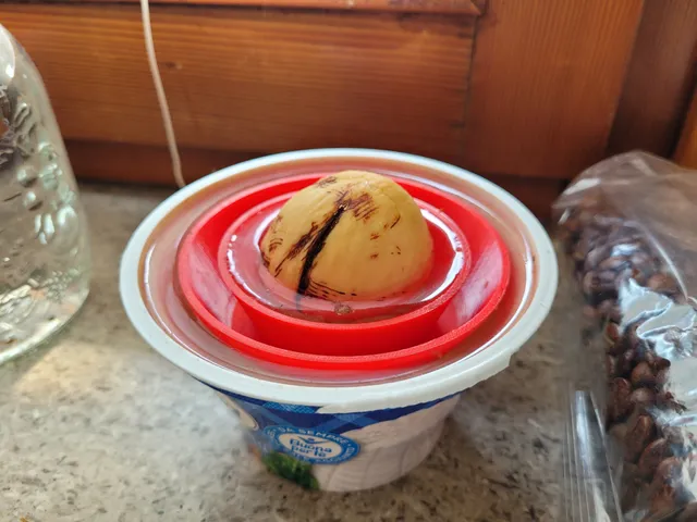 Avocado Bucket MKII - Fixed