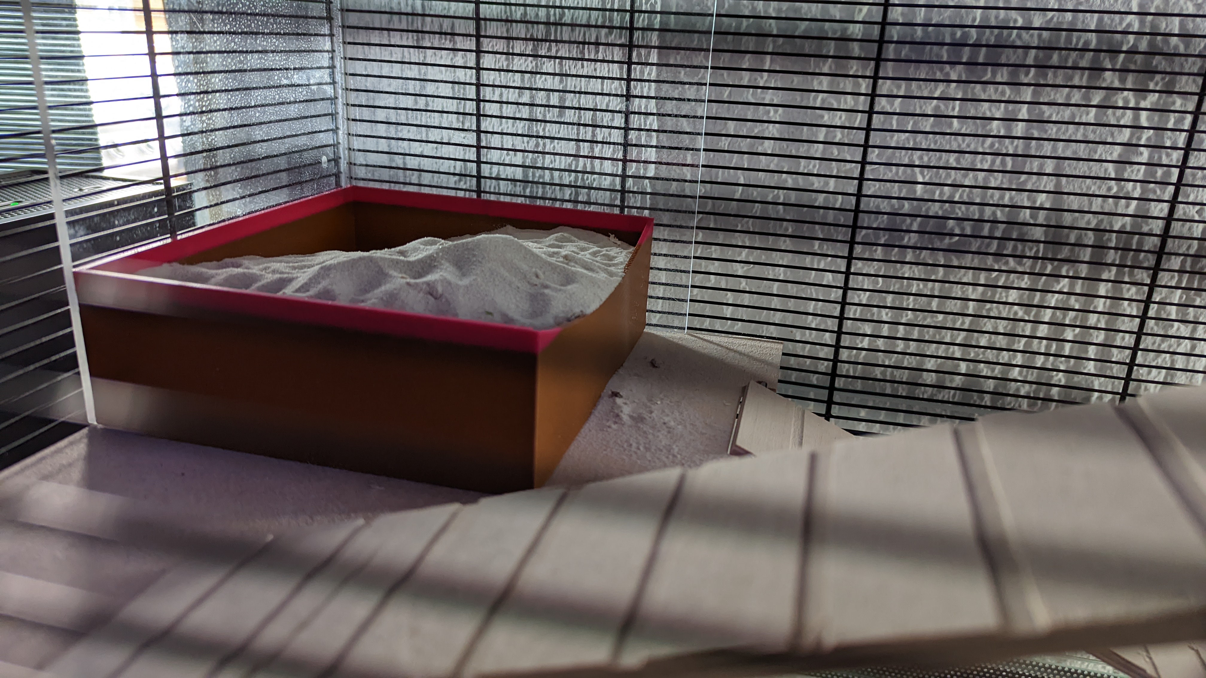 Hamster sand Box