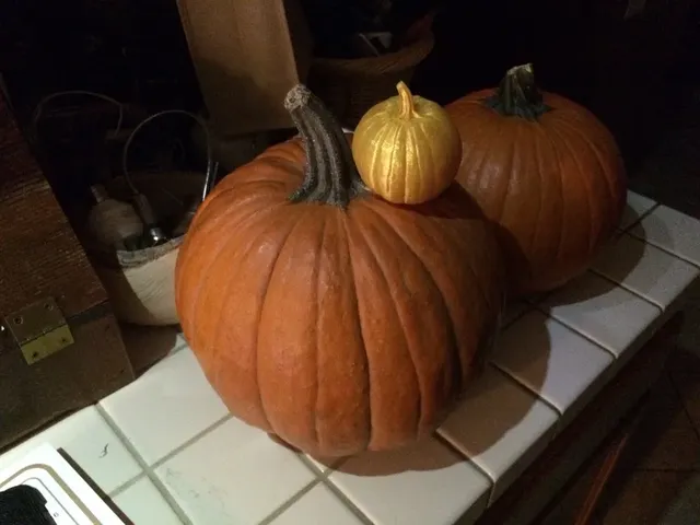 Einscanned Pumpkin