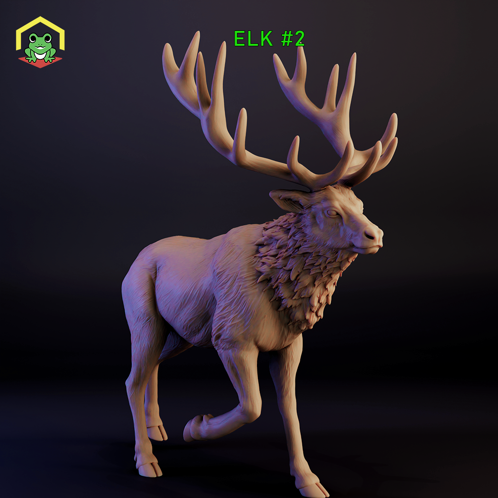 Elk 2