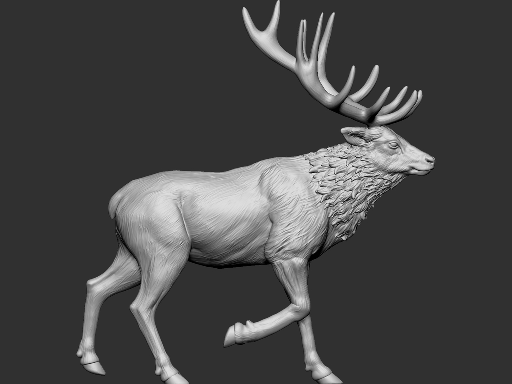 Miniatura 6 do modelo 3D Elk 2