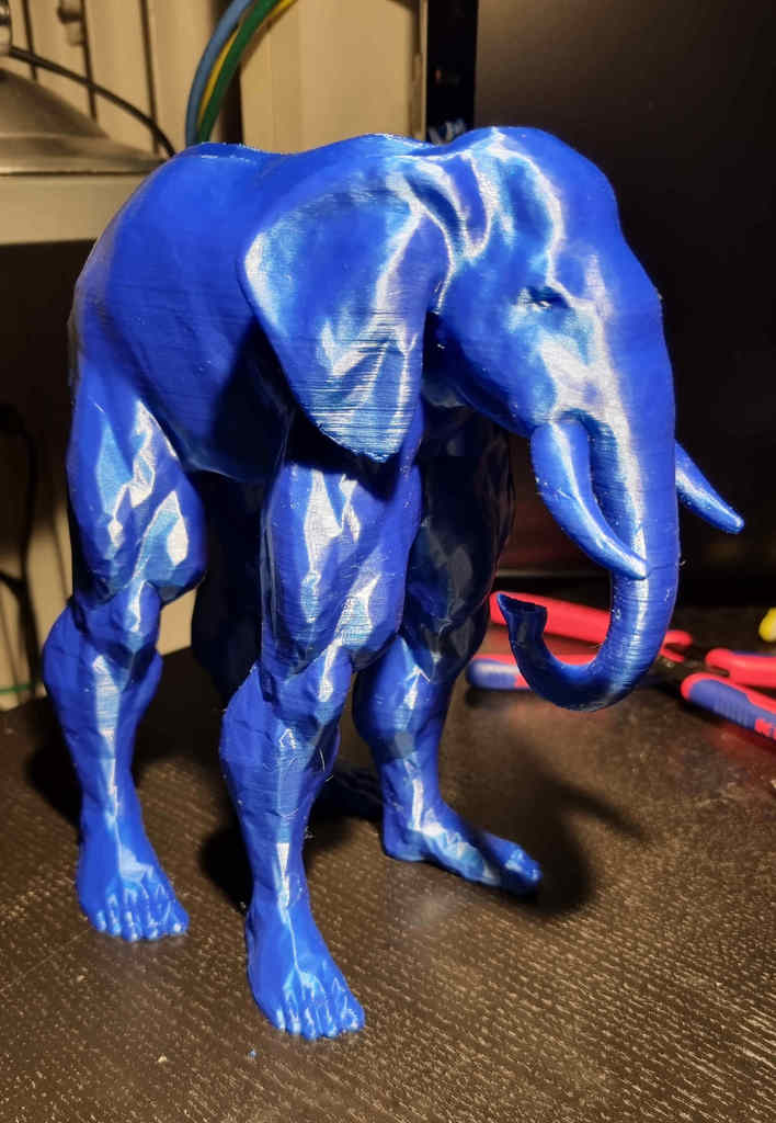 Elephant Man by JohnBenzo | Download free STL model | Printables.com