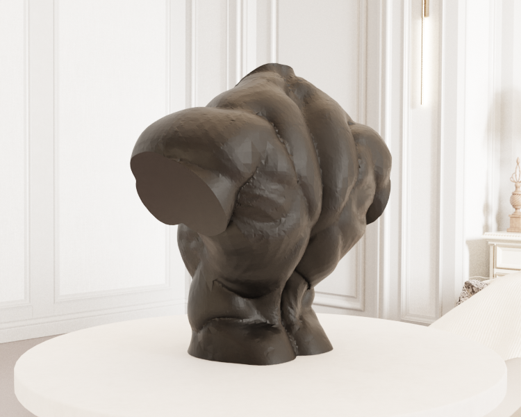 Torso — miniatura 3