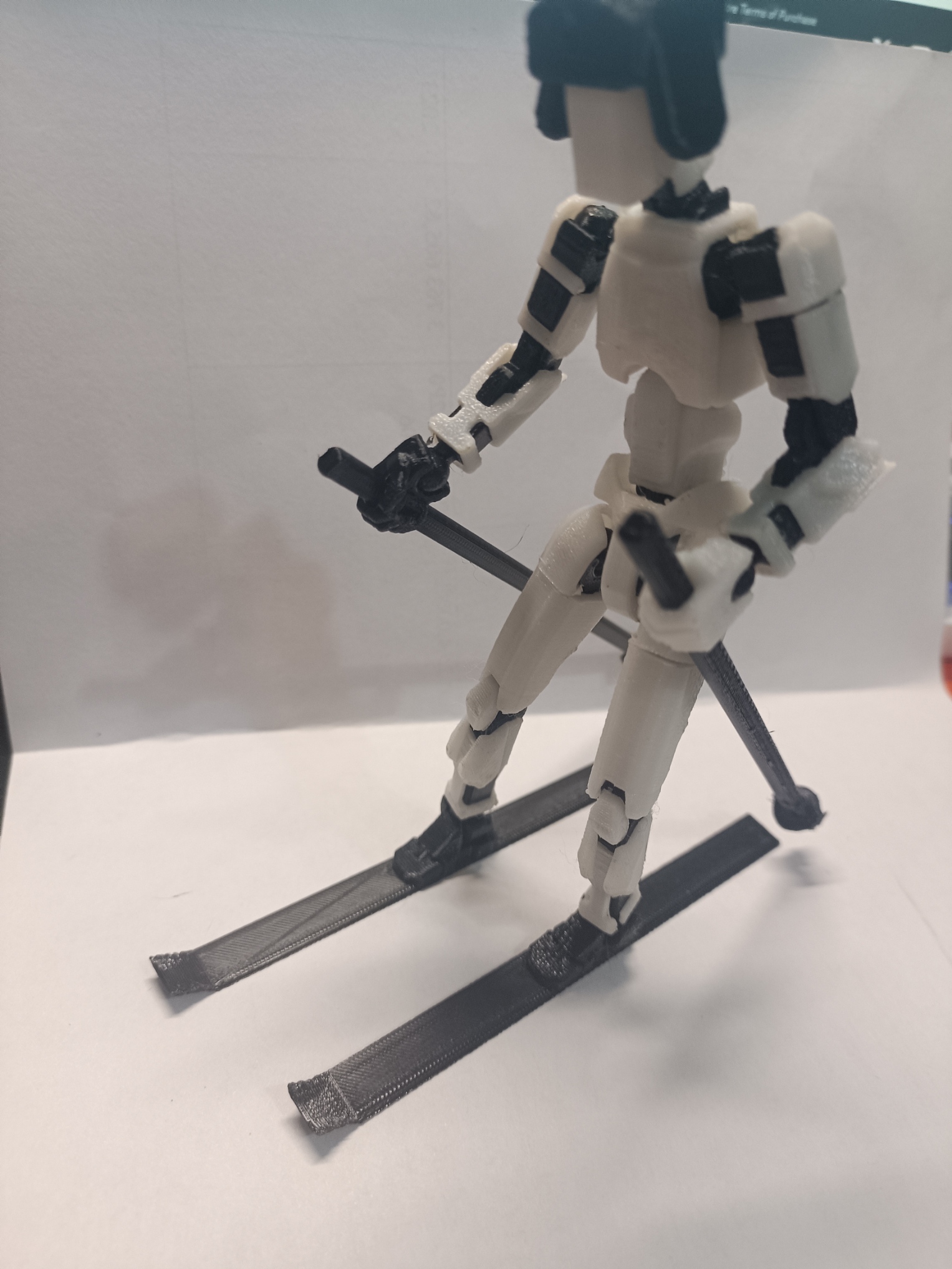 ski for dummy 13