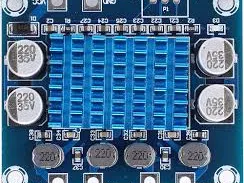 Case for TPA3110