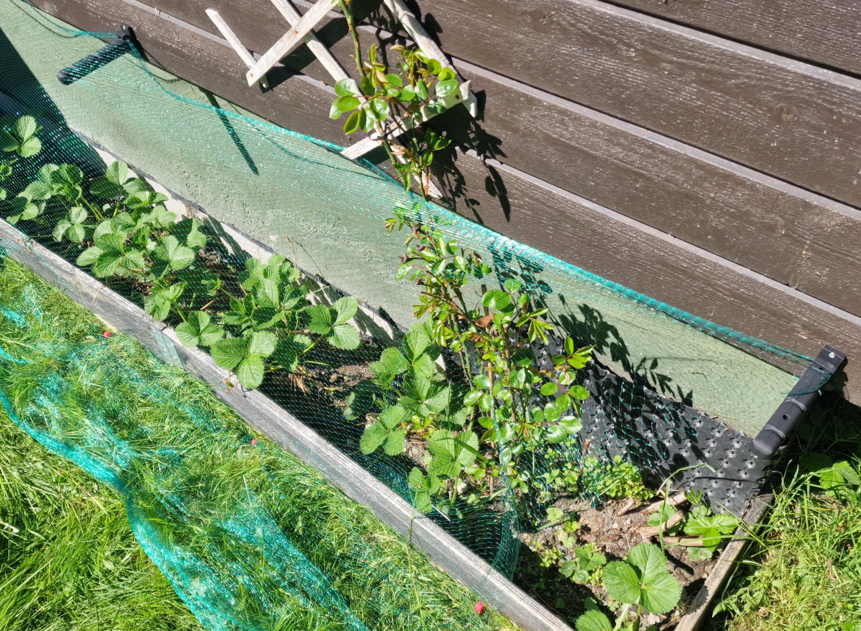 Wallhook for nets (or plants) — miniatura 2