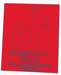 Tiktok follower award!