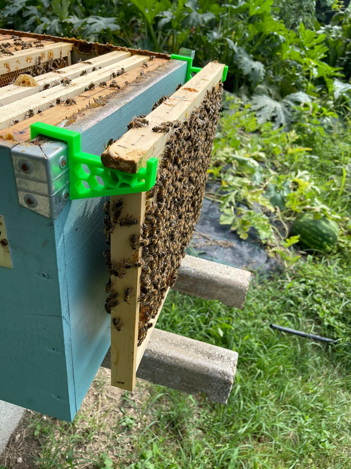 Bee hive frame holder by Lele88 Download free STL model