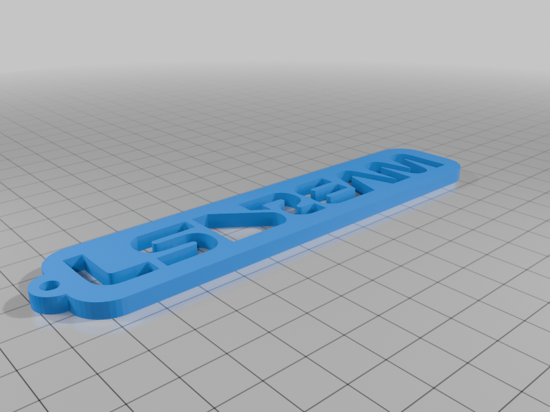 LSDream keychain accessory